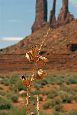 Monument Valley