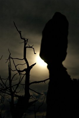 Balanced Rock by Moonlight