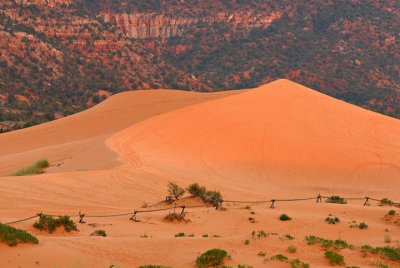 Coral Pink Sand Dunes