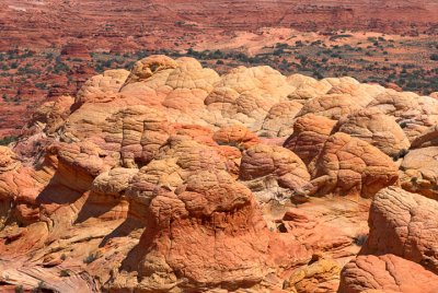 Coyote Buttes