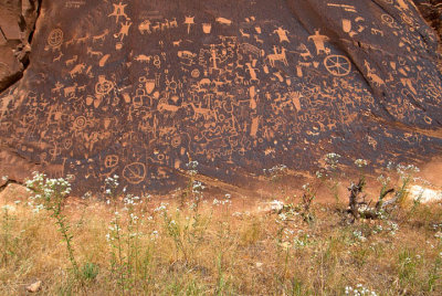 Newspaper Rock Petroglyphs