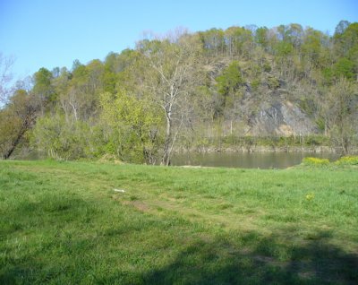 P1000118.jpg