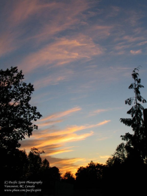  Kensington Park sunset