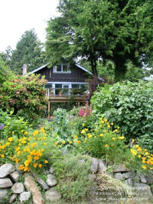 A hillside house and garden near West Bay, West Vancouver