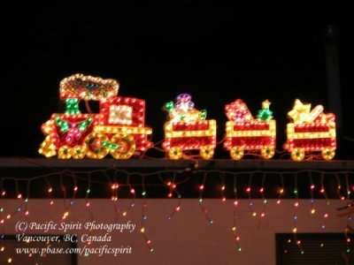 Detail of Christmas train display