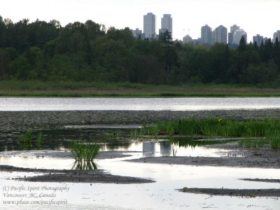 Metrotown on a cloudy day