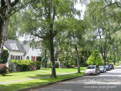 A street near Balaclava Park, Dunbar