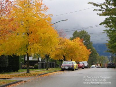 Early autumn in Burnaby