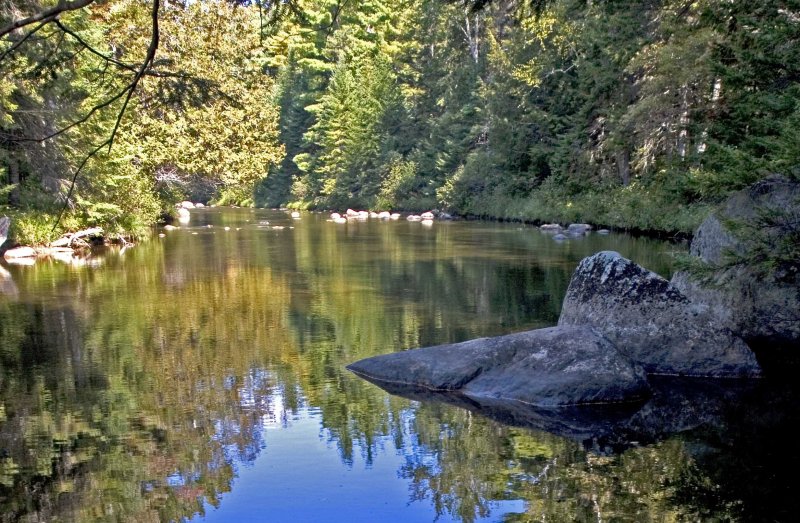 Near the falls