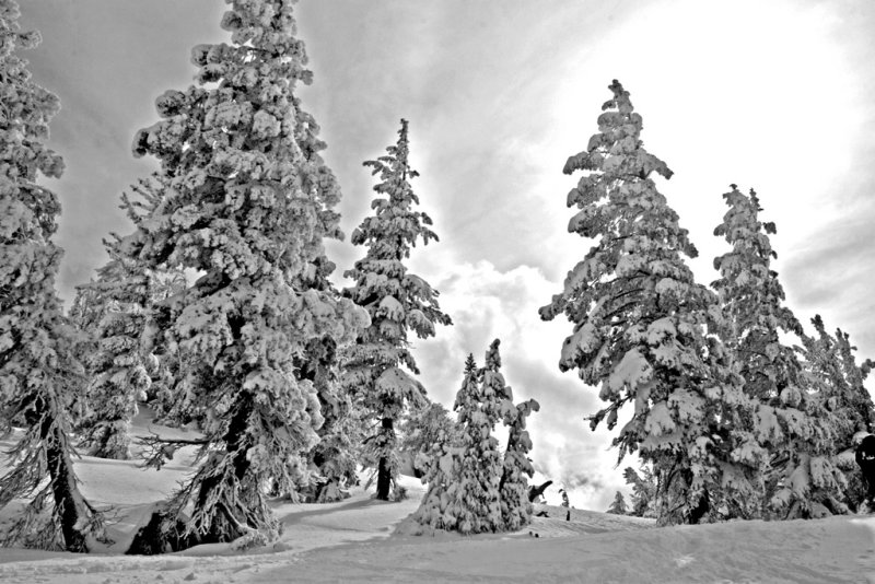 Winters Mantle