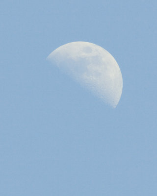 Mar 25 07 day half moon -08.jpg