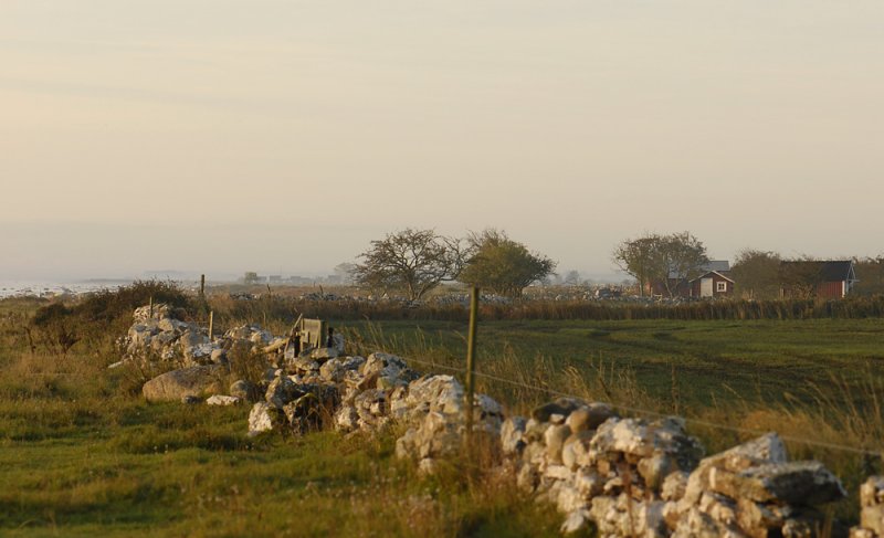 olandDSC0914.jpg