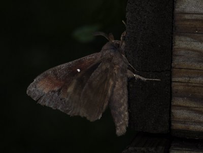 g6/11/782811/3/81688692.4anLmwhS.jpg
