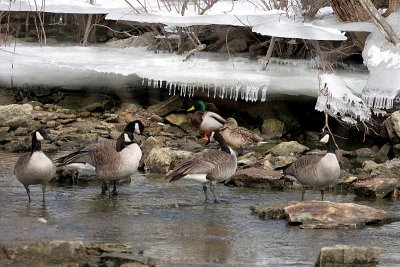 Thousand Islands Nature Center near Kaukauna