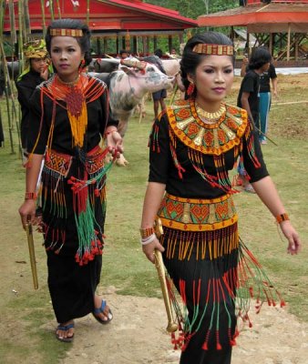 Toraja girls