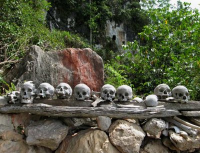Skulls, Palotoke