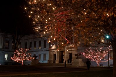 Boston Museum of Fine Arts