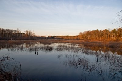 Sudbury river, near Water Row