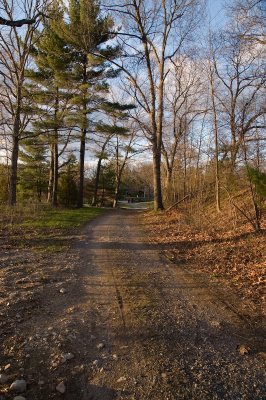 Evening path