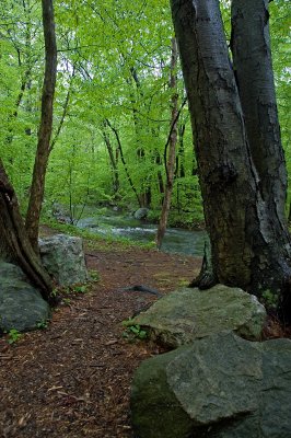 Danforth Brook