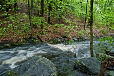 Danforth falls #2