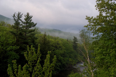 Mist on Loon mountain