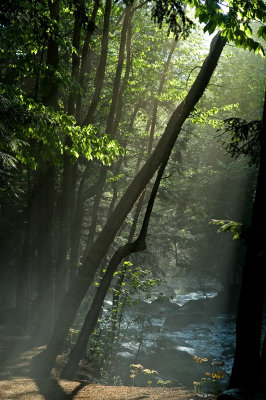 Sabbaday brook