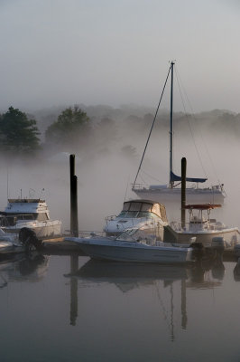 Misty morning in the harbor