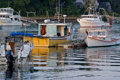 Lobster boats