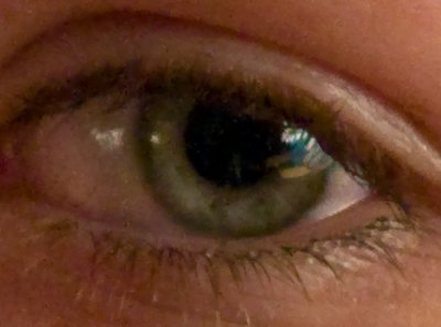 Enlarge crop at iso 1600