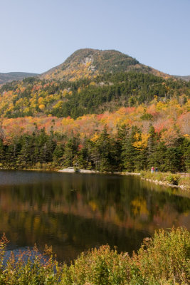 Beaver Pond