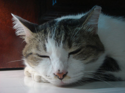 g6/12/372012/3/77169804.Zd2a6Quh.jpg