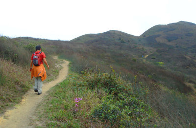 trail_walk