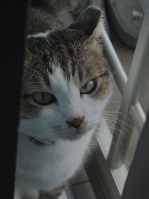can i go out now?