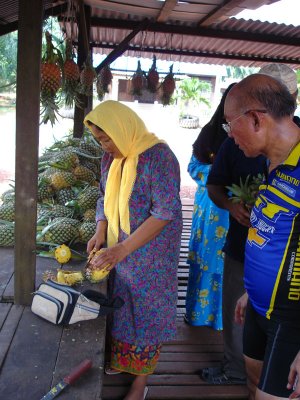 the pineapple woman