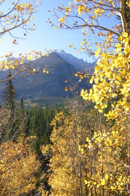 Longs Peak thru The Aspens