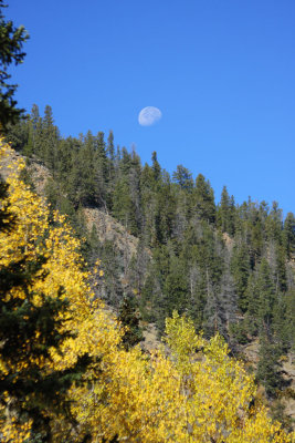 20070930-GuanellaAspens 034-s.jpg