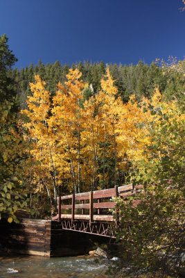 Nice Bridge and Aspens Near Grant