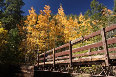 Aspens Over Bridge