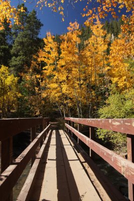 Aspens Down Bridge