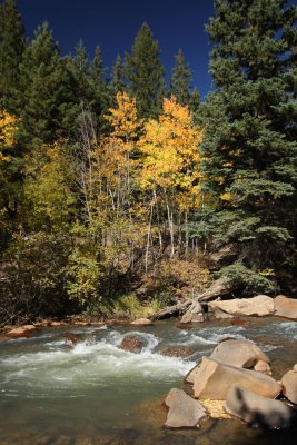 Aspens Across River