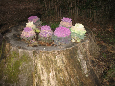 overbrook83.jpg