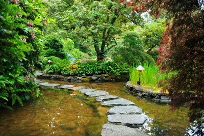 Inside the Japanese Garden