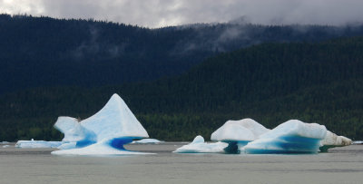 Icebergs at Mendenhall Glacier
