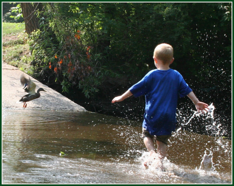 Sometimes, We Go On A Wild-Goose Chase