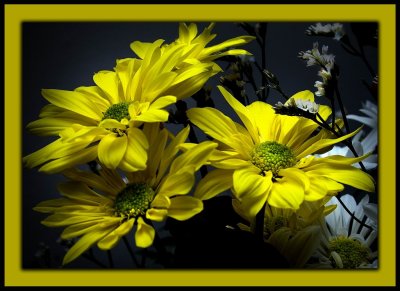 Flowers 7