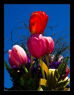 Flowers 4