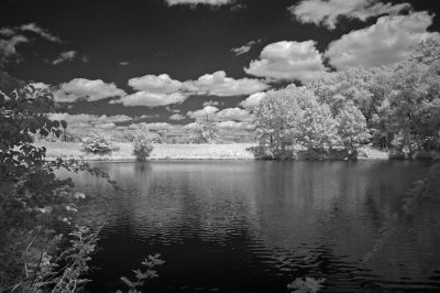 DSC_4196-1RS.jpg