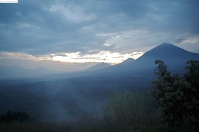 Virunga Mountains - Gorillas in the Mist