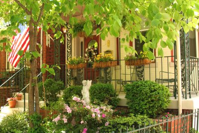 Urban Front Yard